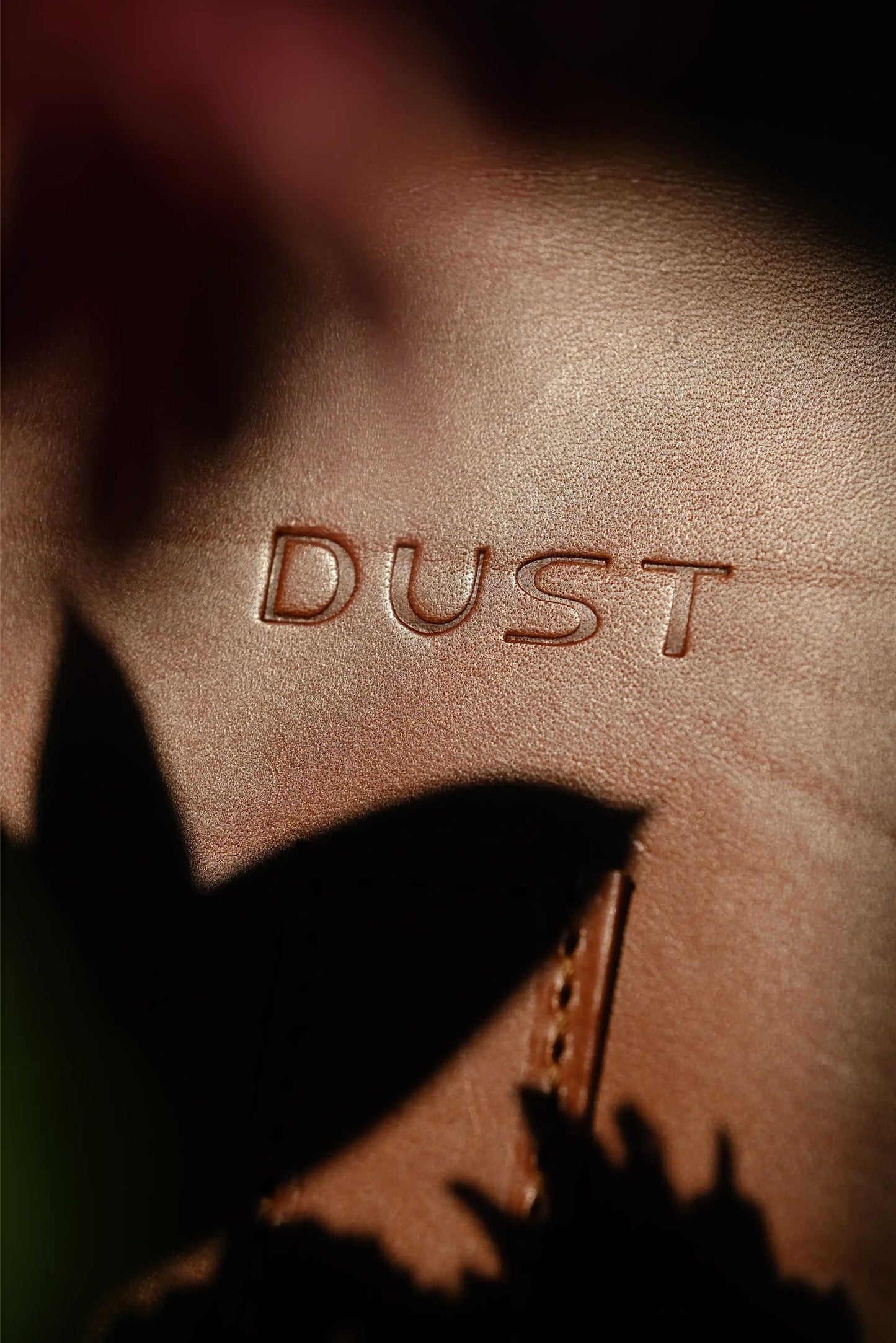 The Dust Company